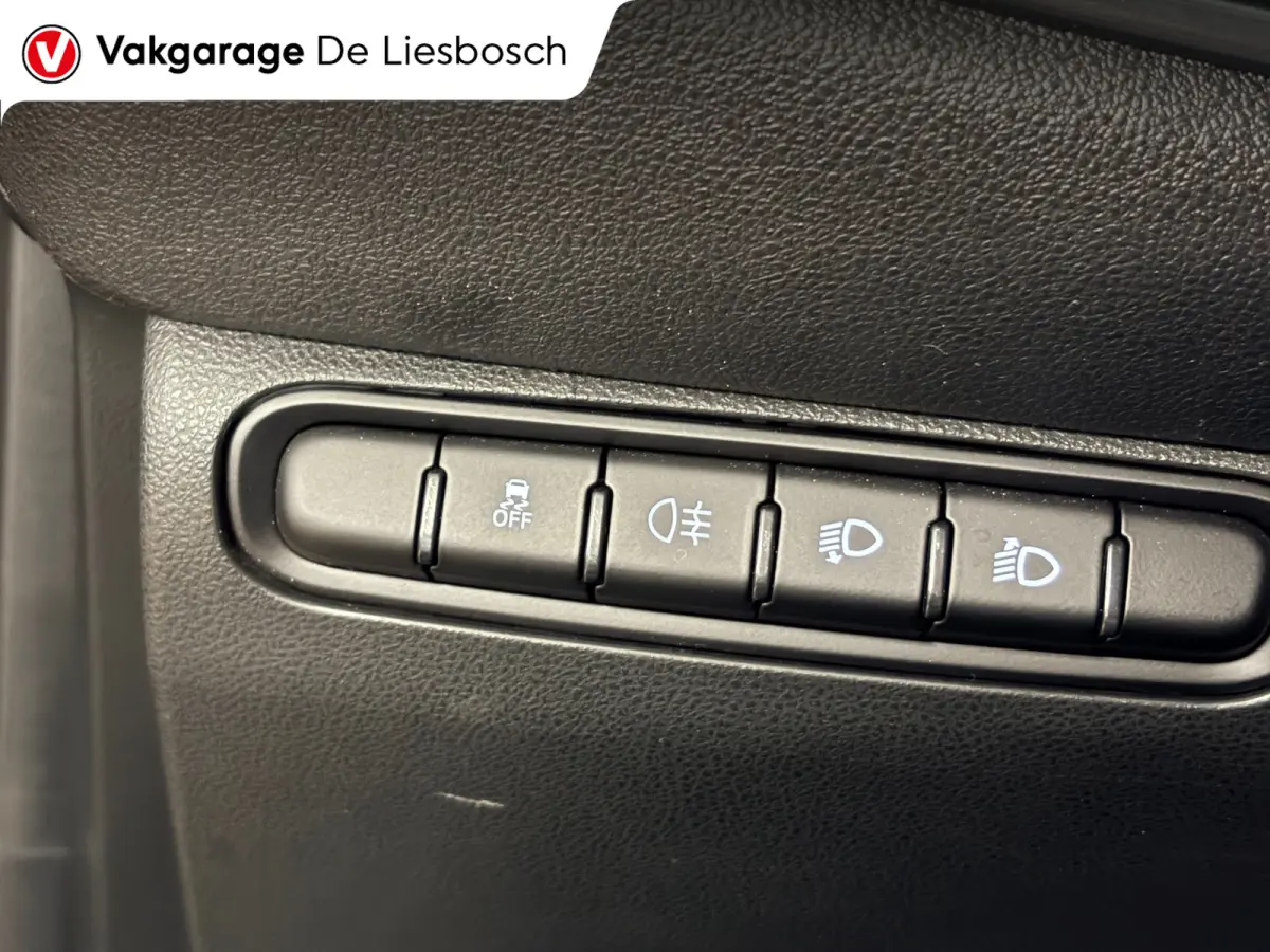 Icon 42 kWh / Clima / carplay /lichtmetalen velgen/cruisec.