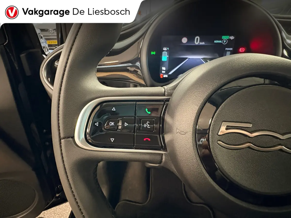 Icon 42 kWh / Clima / carplay /lichtmetalen velgen/cruisec.