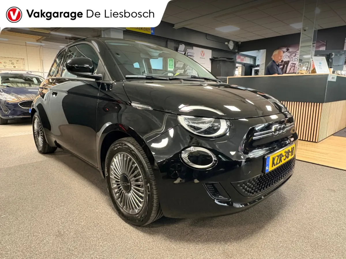 Icon 42 kWh / Clima / carplay /lichtmetalen velgen/cruisec.