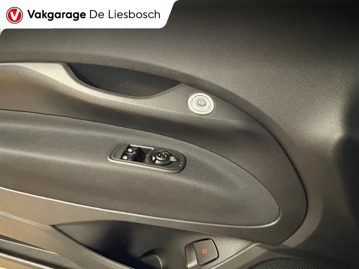 Icon 42 kWh / Clima / carplay /lichtmetalen velgen/cruisec.