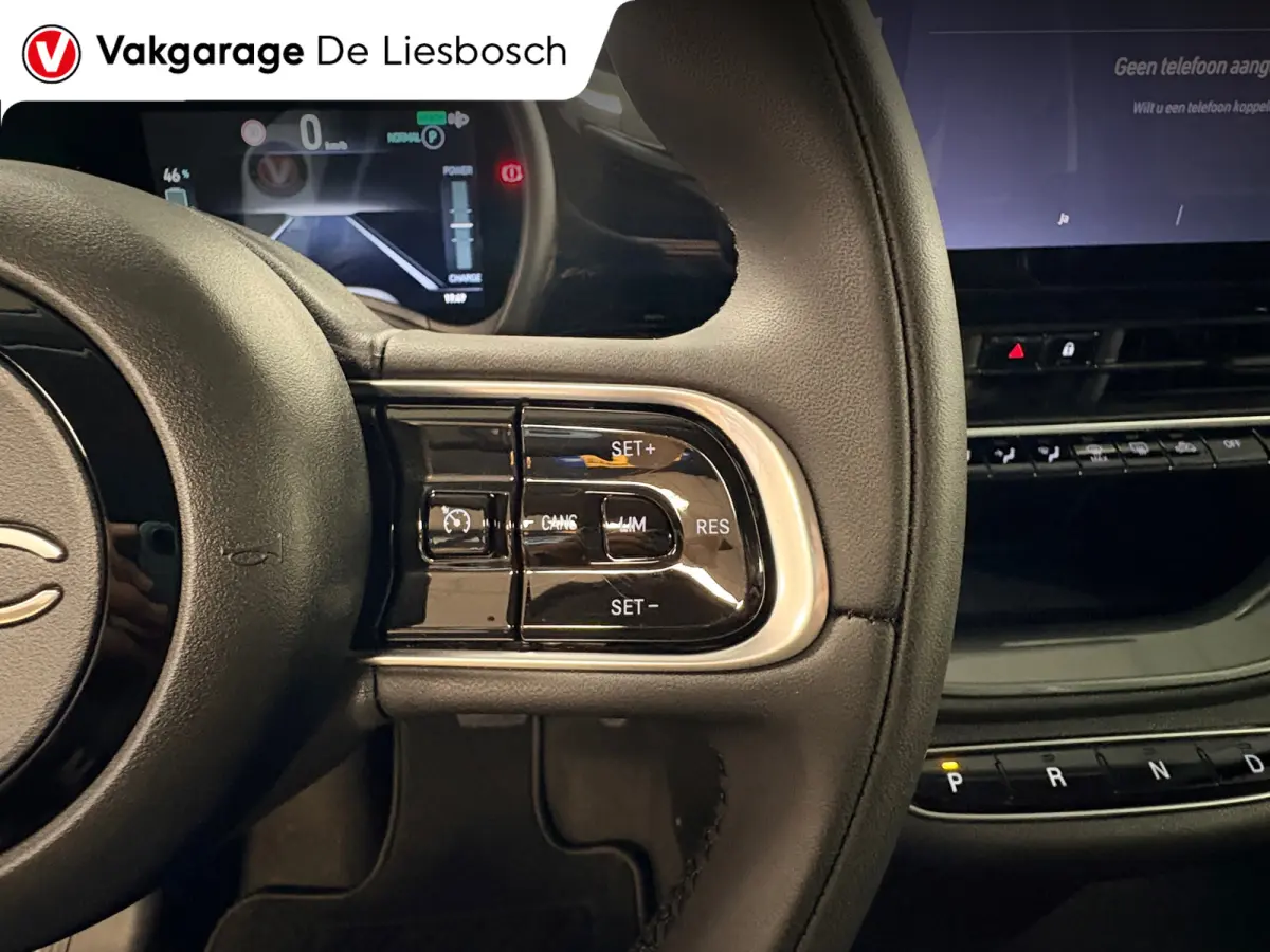 Icon 42 kWh / Clima / carplay /lichtmetalen velgen/cruisec.