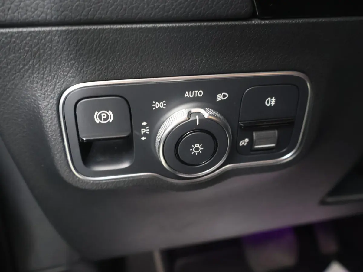 250 Business Solution Luxury 67 kWh | Achteruitrijcamera | Extra getint glas | Sfeerverlichting | Stoelverwarming |