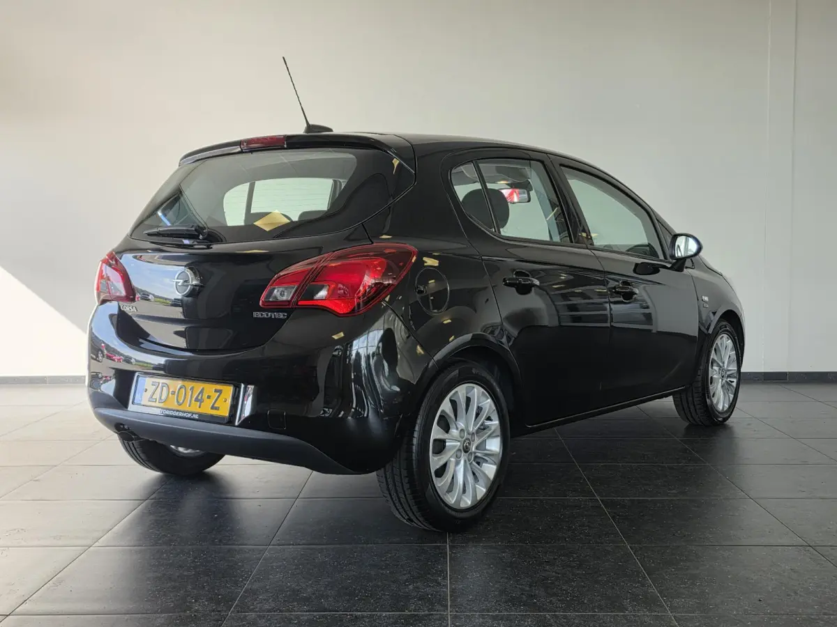 1.0 Turbo 120 Jaar Edition | 100% Onderhouden | Navigatie | Cruise Control