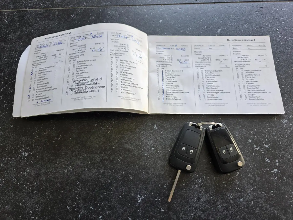 1.0 Turbo 120 Jaar Edition | 100% Onderhouden | Navigatie | Cruise Control