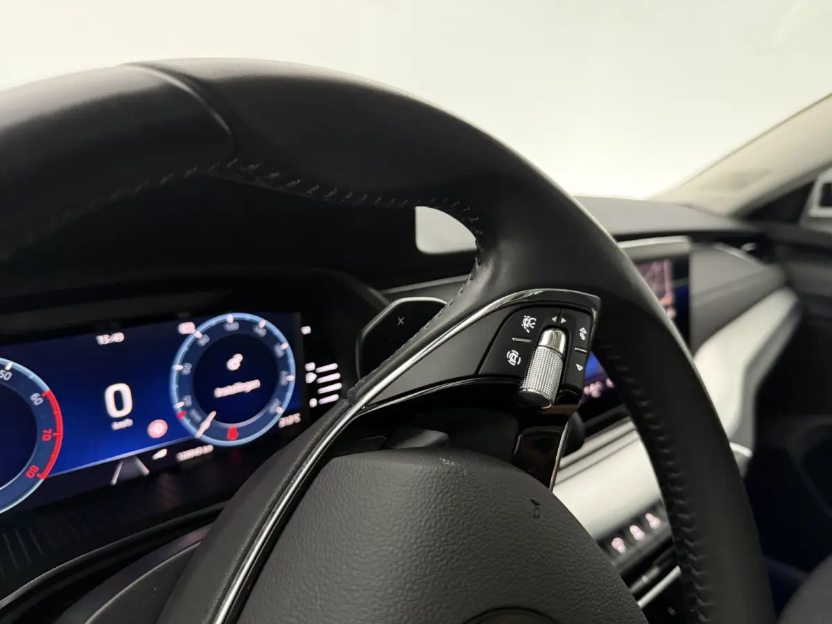 1.0 TSI e-TEC MHEV DSG | Virtual | Camera | Carplay | Sfeer | Trekhaak | Cruise | Navi | Keyless | NAP