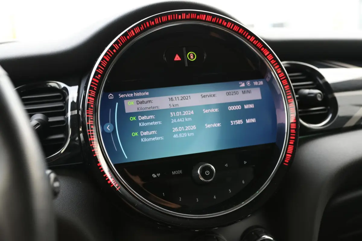 Classic 33 kWh | ACC | Keyless | SOH 95.0% |