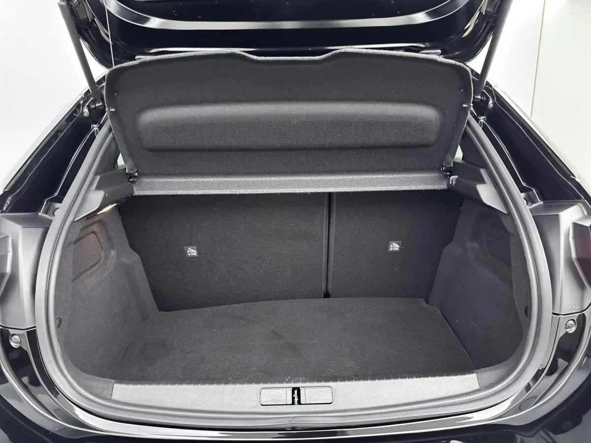 1.2 Turbo Hybrid GS | Navigatie | Dodehoekdetectie | Lichtmetalen velgen | Camera | Stoel- + stuurverwarming |