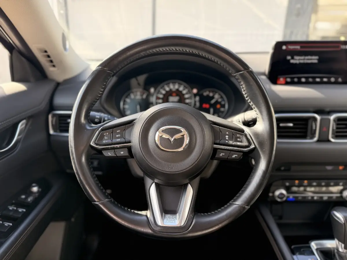 2.0 SAG 165 Luxury | ACC | Trekhaak