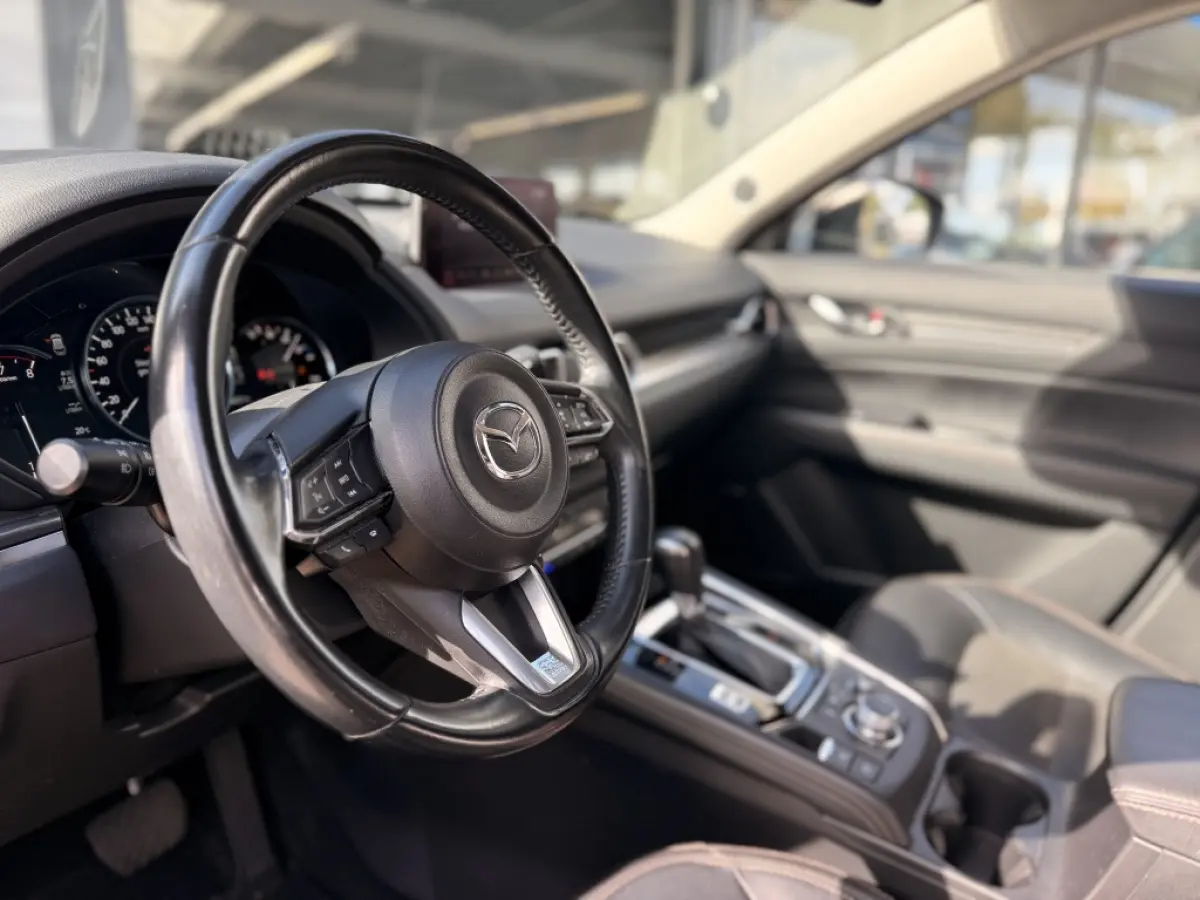 2.0 SAG 165 Luxury | ACC | Trekhaak