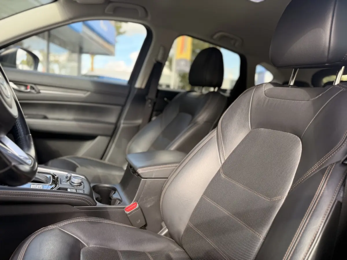 2.0 SAG 165 Luxury | ACC | Trekhaak