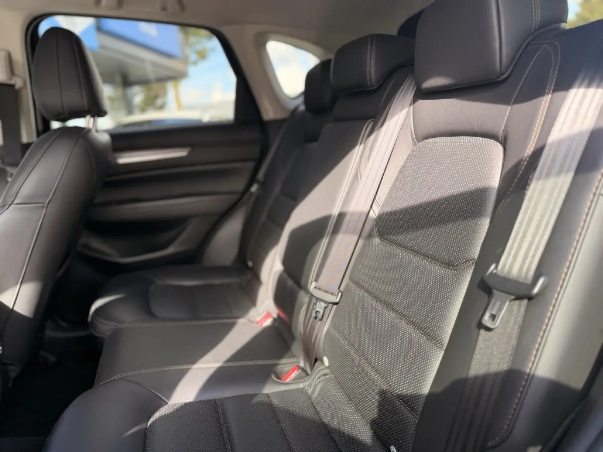 2.0 SAG 165 Luxury | ACC | Trekhaak
