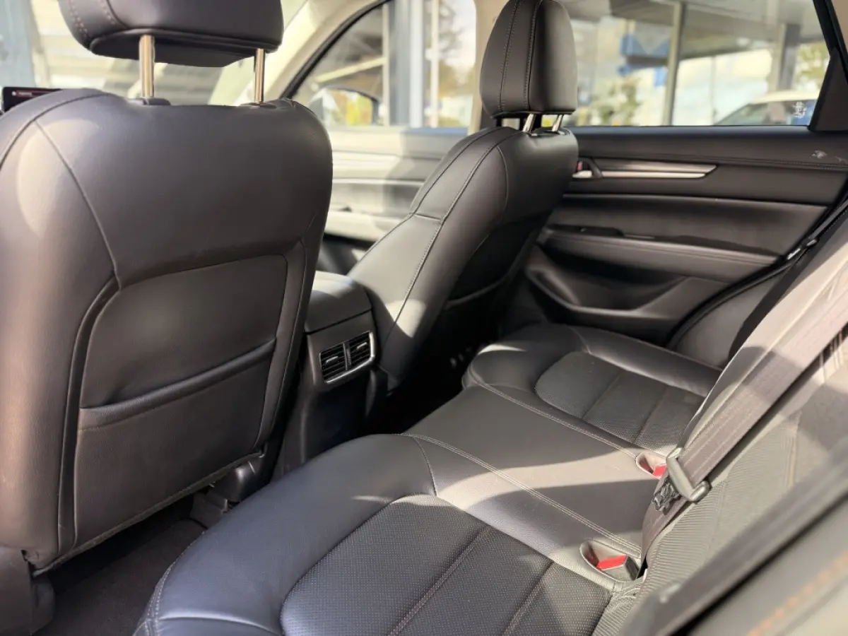 2.0 SAG 165 Luxury | ACC | Trekhaak