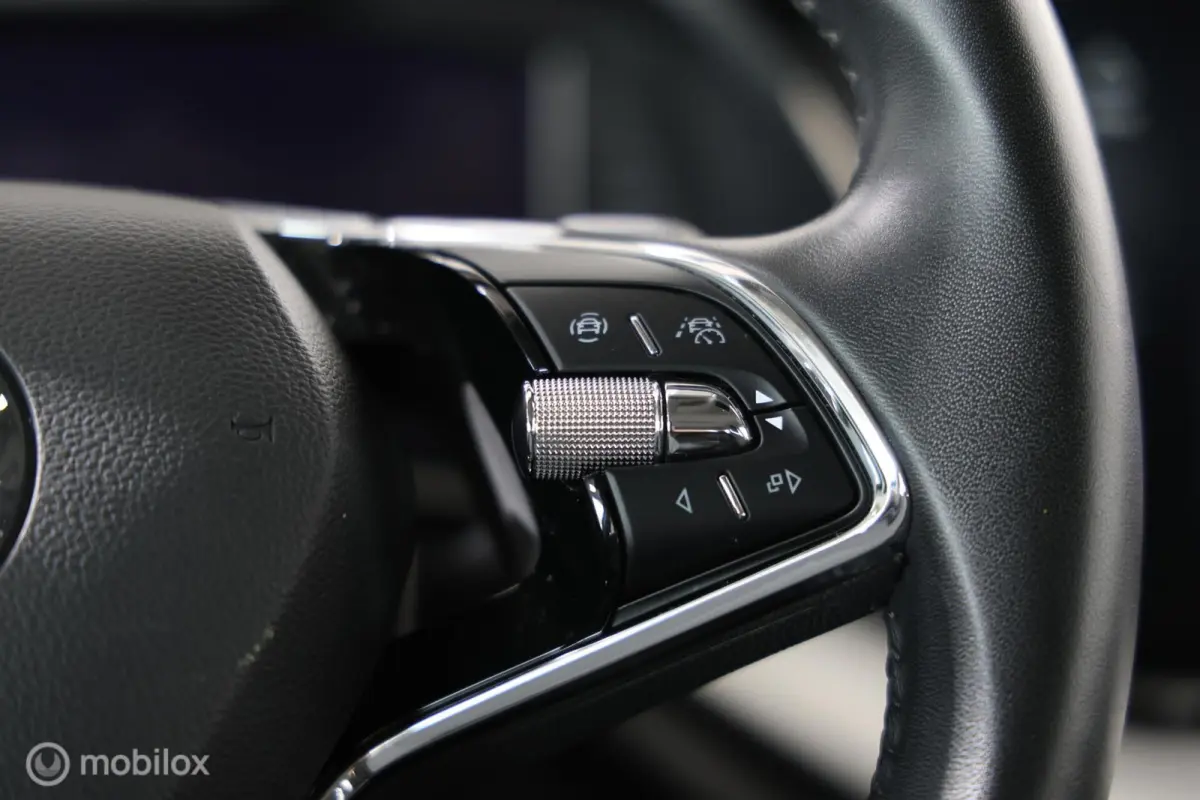 1.4 TSI iV PHEV Business Edition