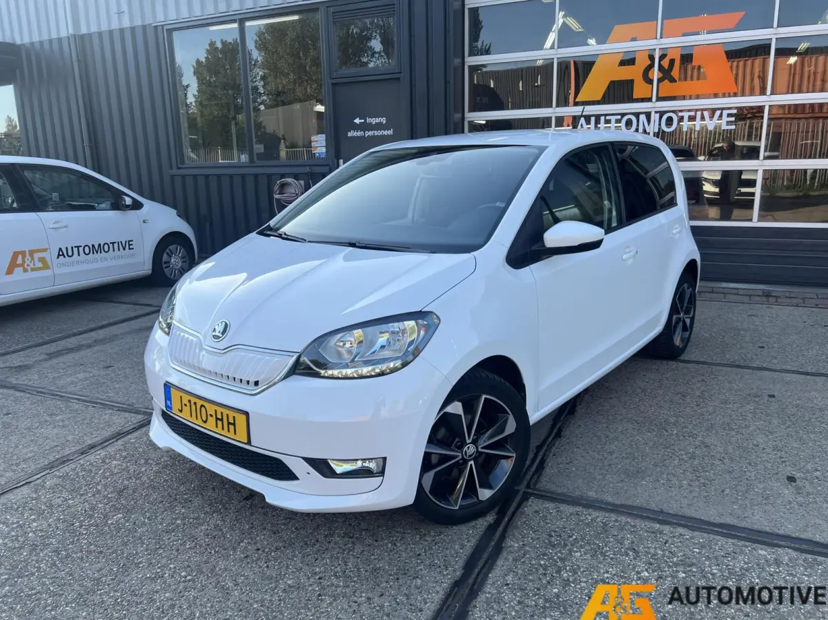 EV 2020 5DRS | 91% SOH | Eerste eigenaar |