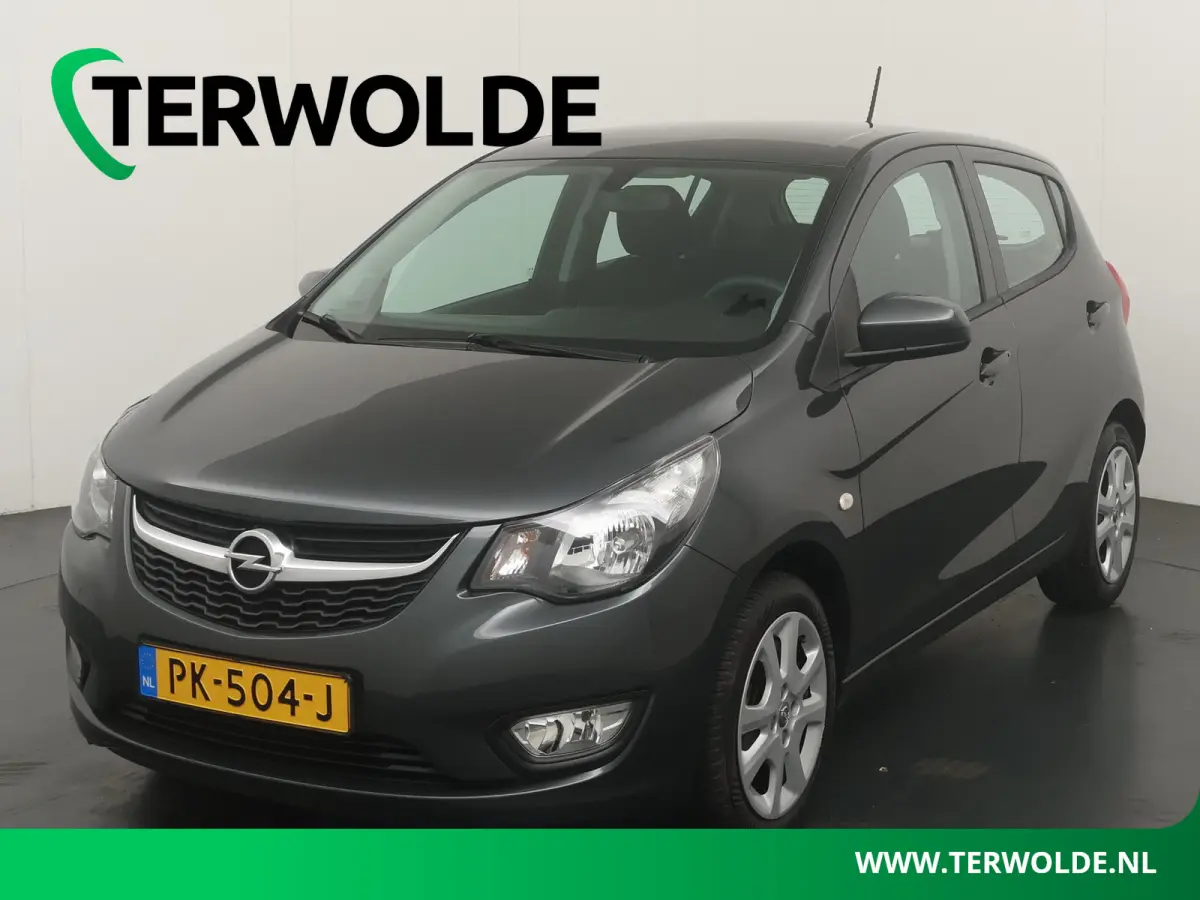 1.0 ecoFLEX Edition | Airco | Cruise Control |