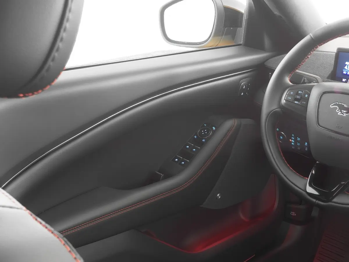 Extended Premium AWD 98 kWh | PANORAMADAK | B&O | EL. STOELEN | LEDER | Full LED | SOH: 95% | !