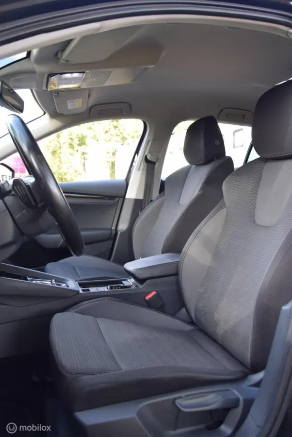 1.0 e-TSI Ambition Trekhaak Apple Carplay