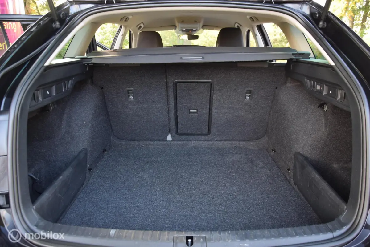 1.0 e-TSI Ambition Trekhaak Apple Carplay