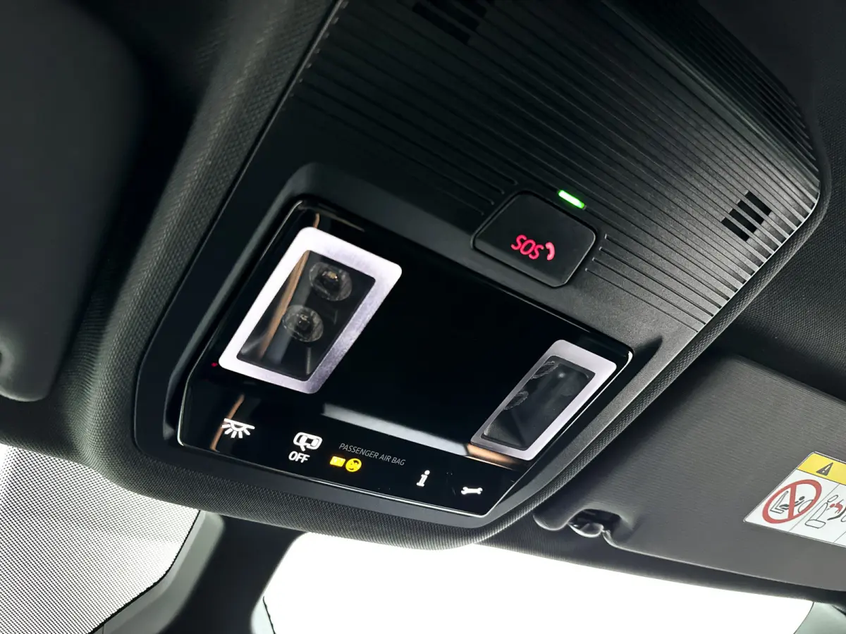 Business 62 kWh | Park assist | Full LED | Cruise control