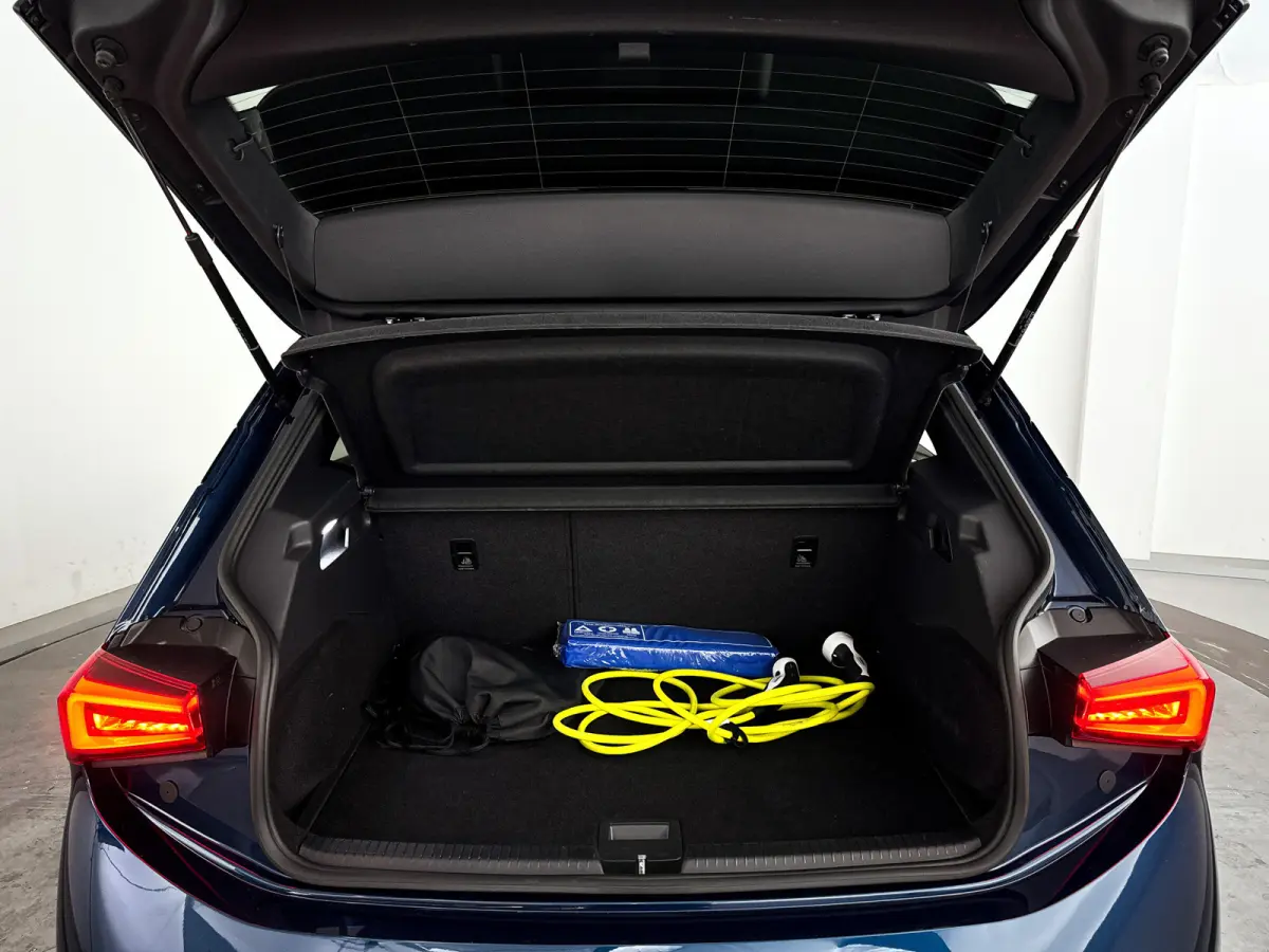Business 62 kWh | Park assist | Full LED | Cruise control