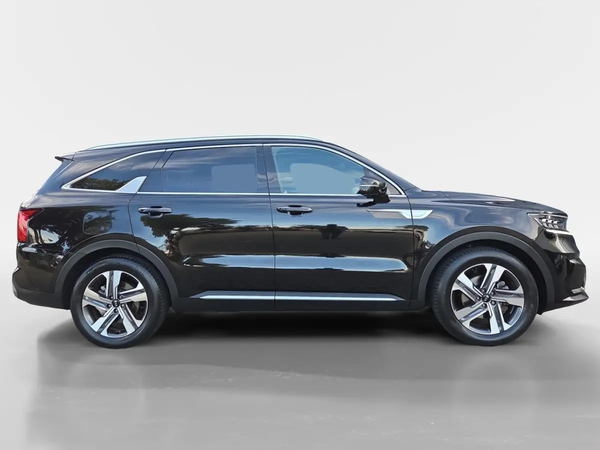 1.6 T-GDI Plug-in Hybrid 4WD ExecutiveLine 7p. | Navi | Clima | 360° Camera | Stoelventilatie | Stoel-/Stuurverwarming | Cruise Control | Keyless Entry | 7-Persoons