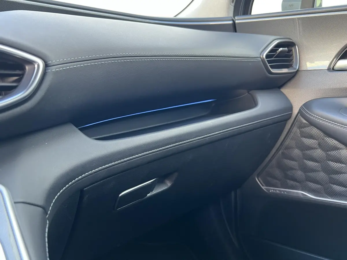 1.6 T-GDI PHEV Premium Sky 7p. Leder / panoramadak / stoelverw./koeling / aut.parkeren