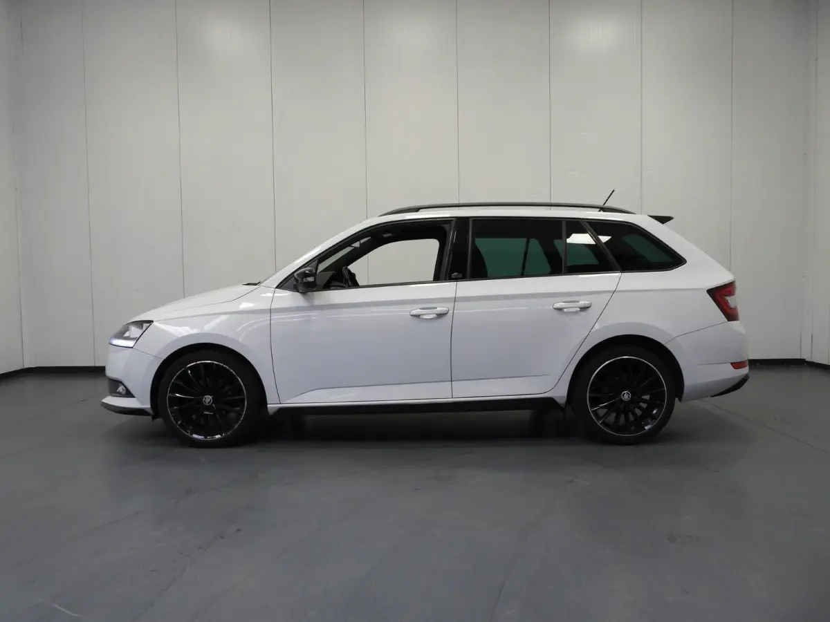 1.0 TSI Monte Carlo NAVI/CLIMA/CRUISE/PDC/17"LMV!