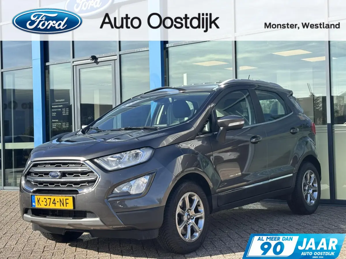 1.0 EcoBoost Titanium 125PK Cruise Navi Climate Parkeersensoren Achter All Season Banden *Leuk*