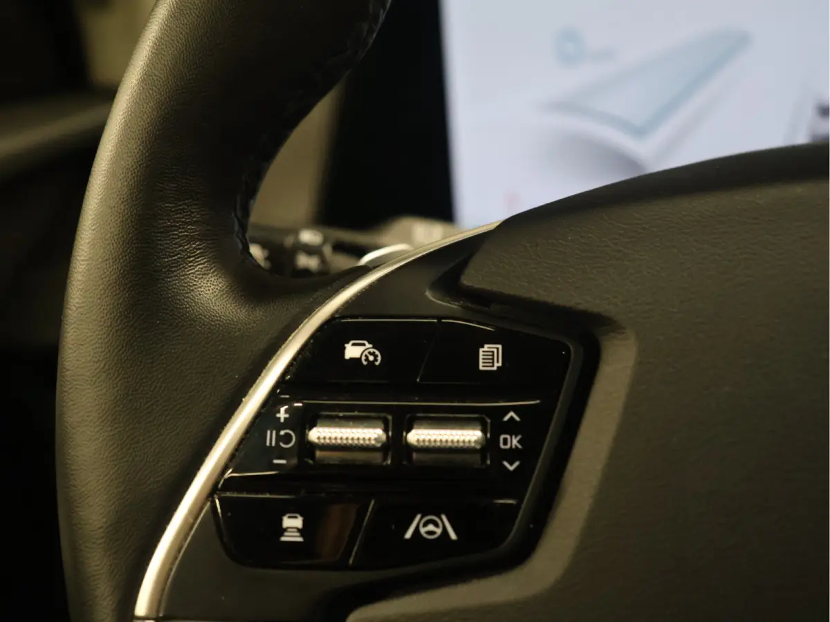 Plus 77.4 kWh [TREKHAAK, APPLE CARPLAY, ANDROID, STOELVERWARMING, MERIDIAN SURROUND SOUND, MEMORY SEATS, CAMERA, PDC V+A, NAVIGATIE, LED, LEDER, CLIMATE CONTROL, BLUETOOTH, NIEUWSTAAT}