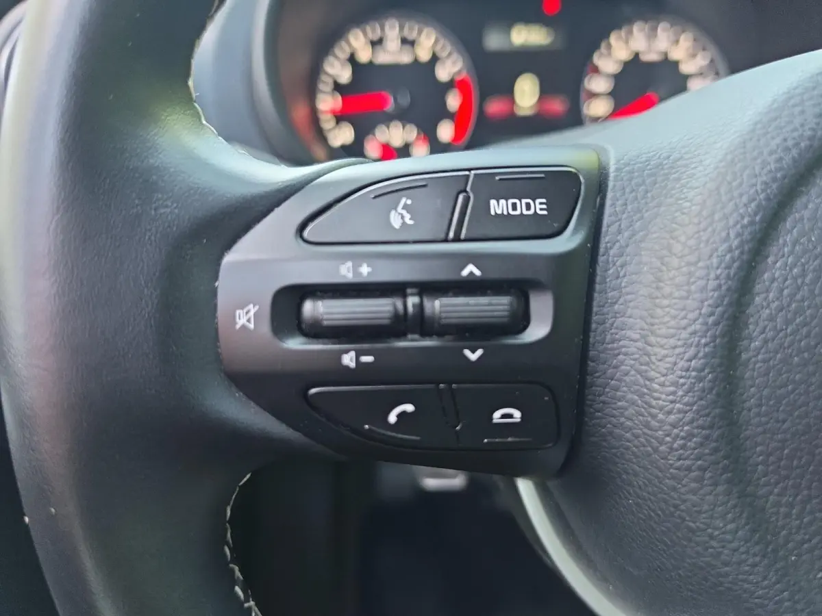 1.0 DPi DynamicLine | Parkeer camera | LM-Velgen | Apple Carplay/Android Auto | Cruise control