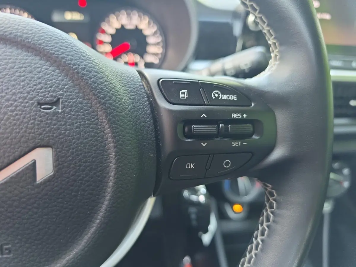 1.0 DPi DynamicLine | Parkeer camera | LM-Velgen | Apple Carplay/Android Auto | Cruise control