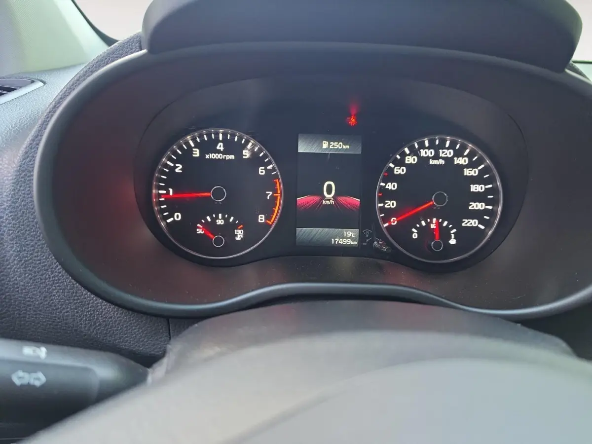 1.0 DPi DynamicLine | Parkeer camera | LM-Velgen | Apple Carplay/Android Auto | Cruise control
