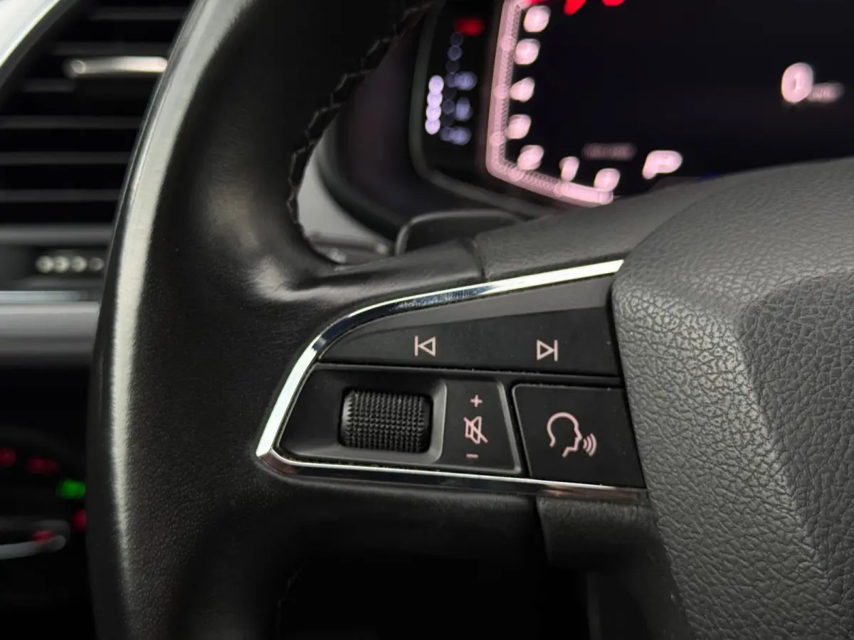 1.5 TSI FR Ultimate PANO|NAVI|CR CONTROL|LEDER|LED