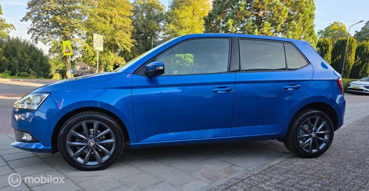 1.0 TSI Business Edition Carplay Incl.APK+Afleveringsbeurt