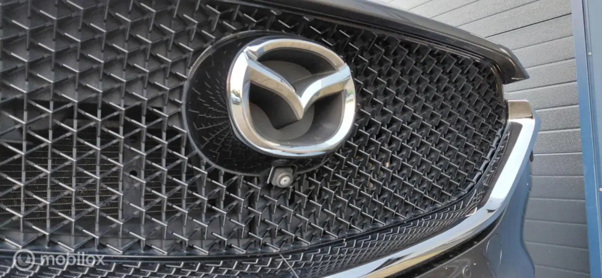 2.5 SkyActiv-G 194,Camera,