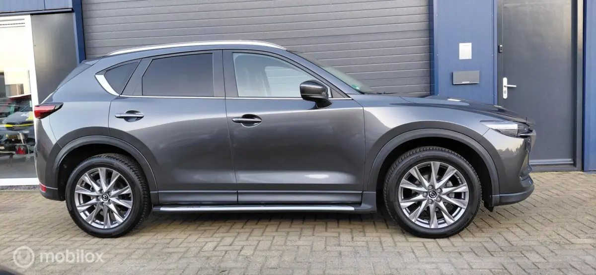 2.5 SkyActiv-G 194,Camera,