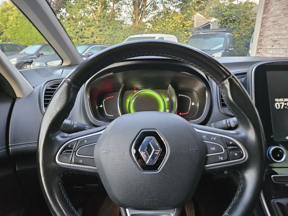 1.2 TCe Bose Trekhaak! Camera! LED! Mooie/Nette Auto! NAP! Airco/Clima! Cruise Control!