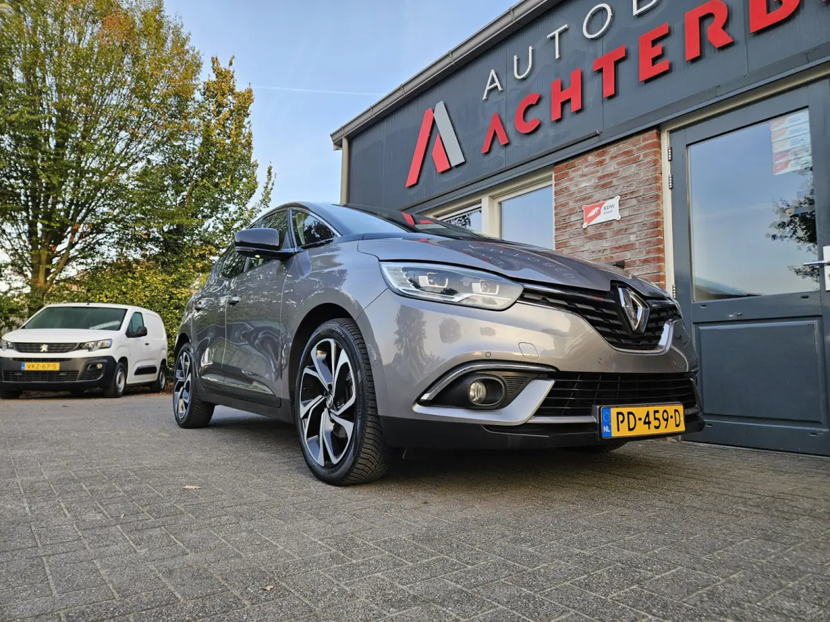 1.2 TCe Bose Trekhaak! Camera! LED! Mooie/Nette Auto! NAP! Airco/Clima! Cruise Control!