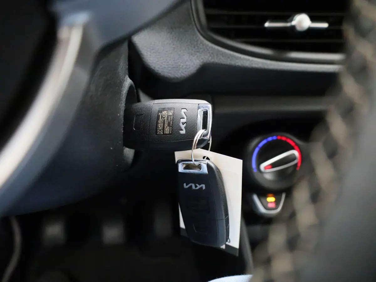 1.0 DPi DynamicLine | Airco | Achteruitrijcamera | Cruise Control |