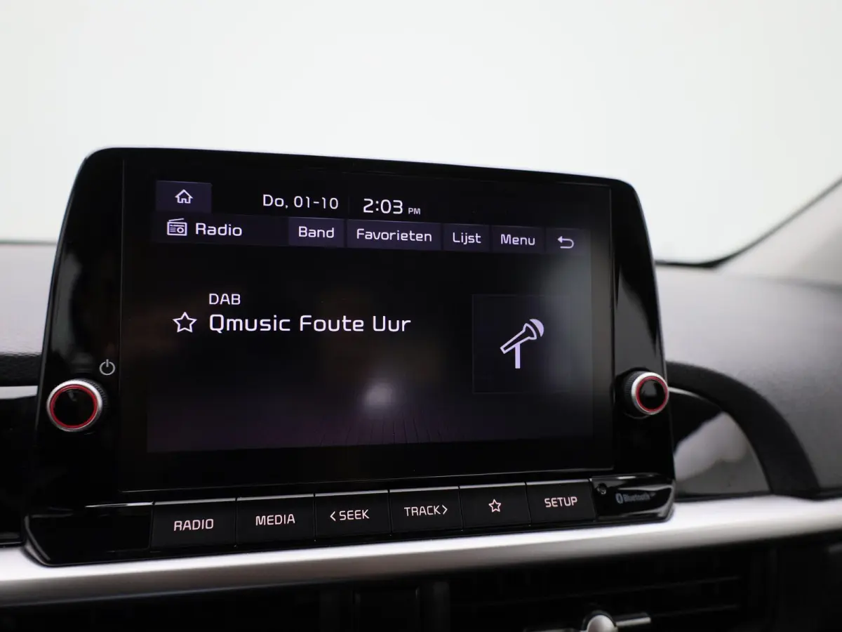 1.0 DPi DynamicLine | Airco | Achteruitrijcamera | Cruise Control |