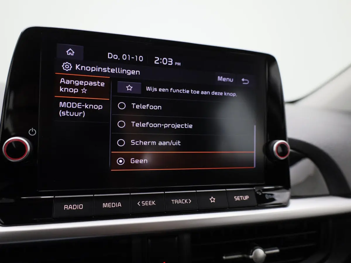 1.0 DPi DynamicLine | Airco | Achteruitrijcamera | Cruise Control |