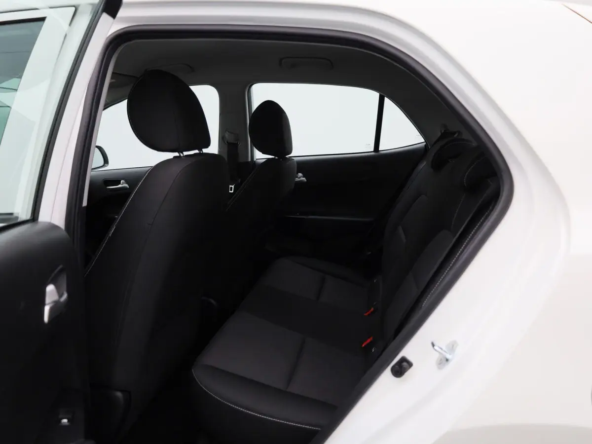 1.0 DPi DynamicLine | Airco | Achteruitrijcamera | Cruise Control |