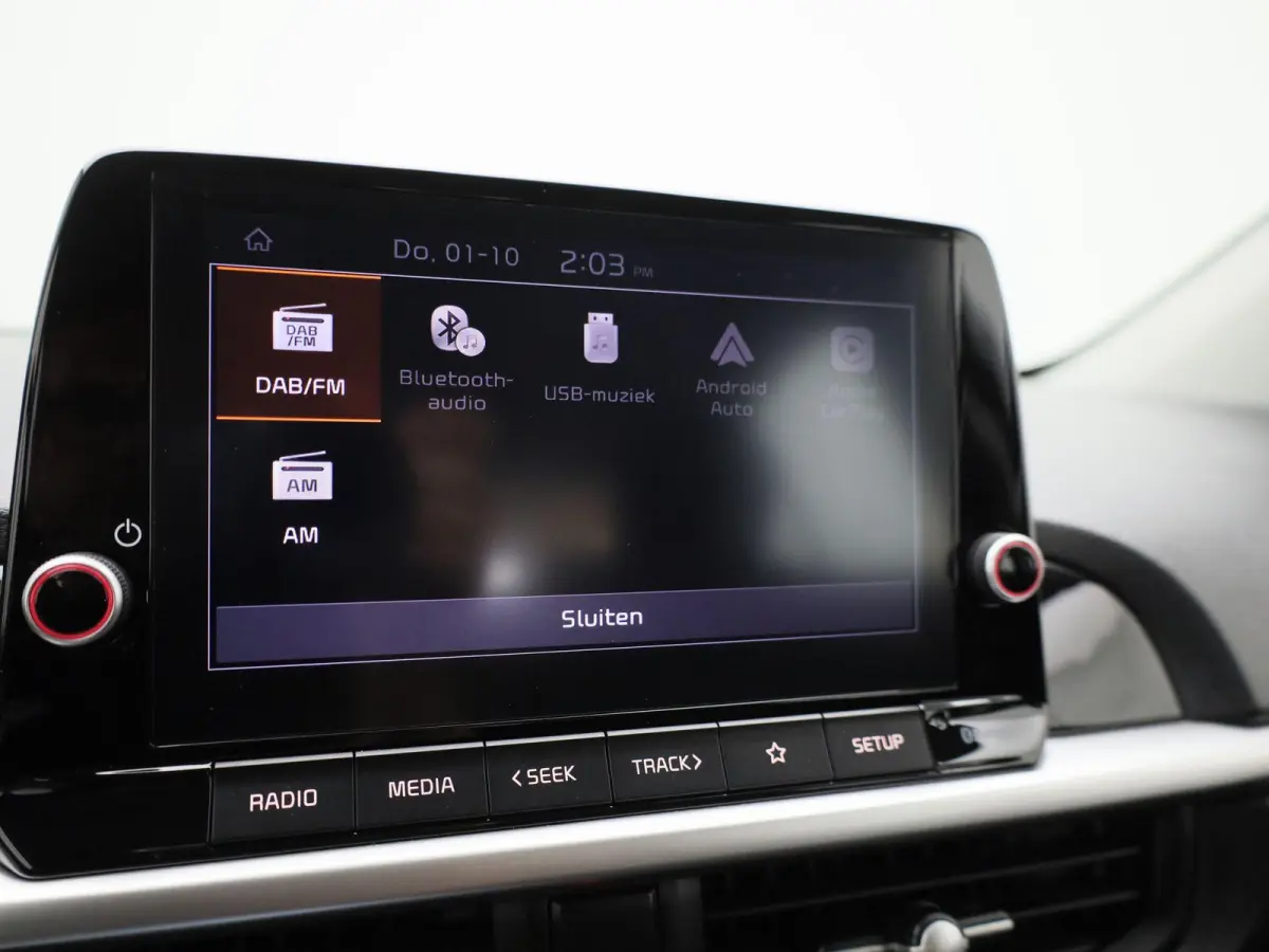 1.0 DPi DynamicLine | Airco | Achteruitrijcamera | Cruise Control |