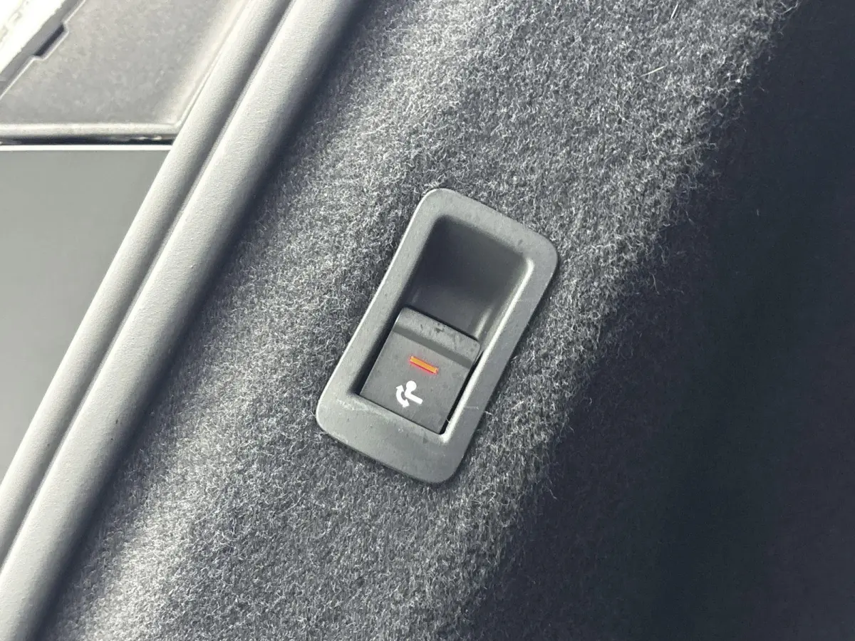 40 S edition 77 kWh | 96,1% SOH |