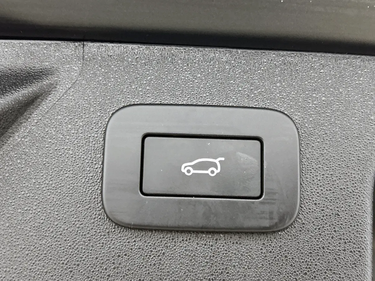 P300e Hybride R-Dynamic SE / Panoramadak /  Leder / Interactive Driver Display / Navi / Cruise-ctr. / Apk nieuw