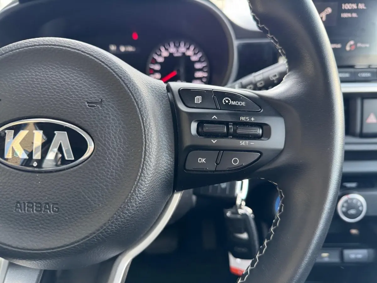 1.0 DPi DynamicLine | Automaat | LM-velgen | parkeercamera | Cruise control | Apple Carplay/Android Auto