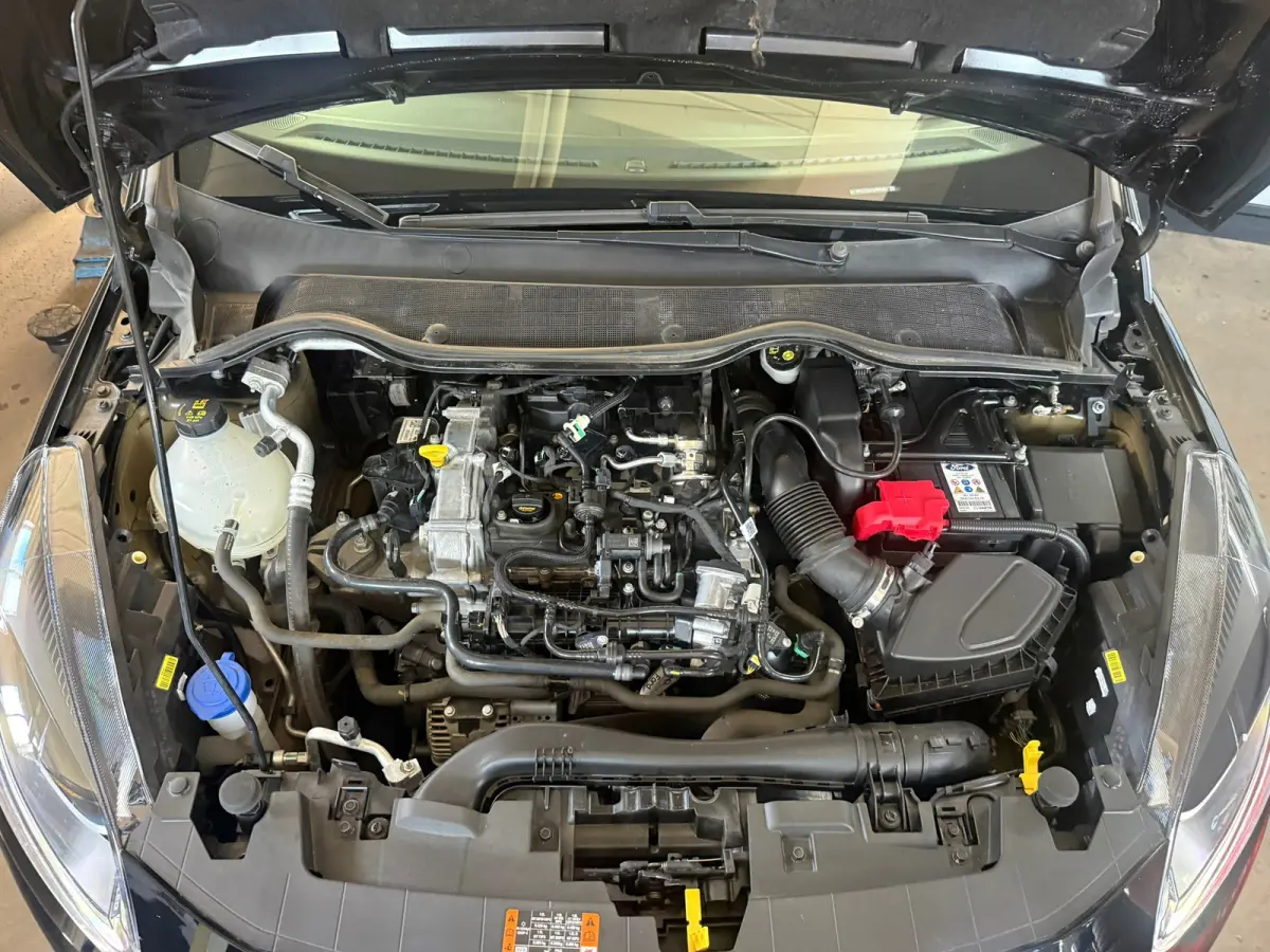 1.0 EcoBoost Hybrid Titanium, Apple Carplay/Android,Stoelverwarming,Stuurverwarming,Navigatie