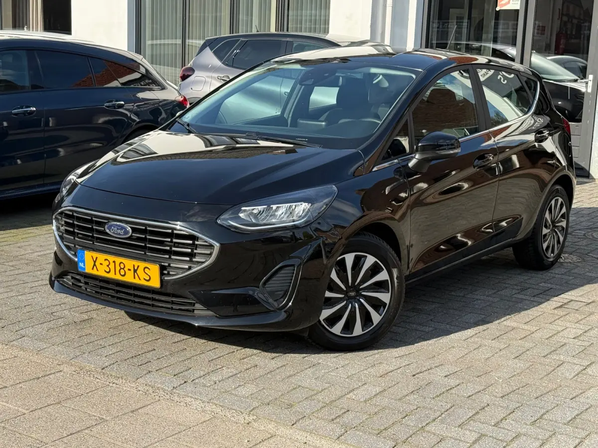 1.0 EcoBoost Hybrid Titanium, Apple Carplay/Android,Stoelverwarming,Stuurverwarming,Navigatie