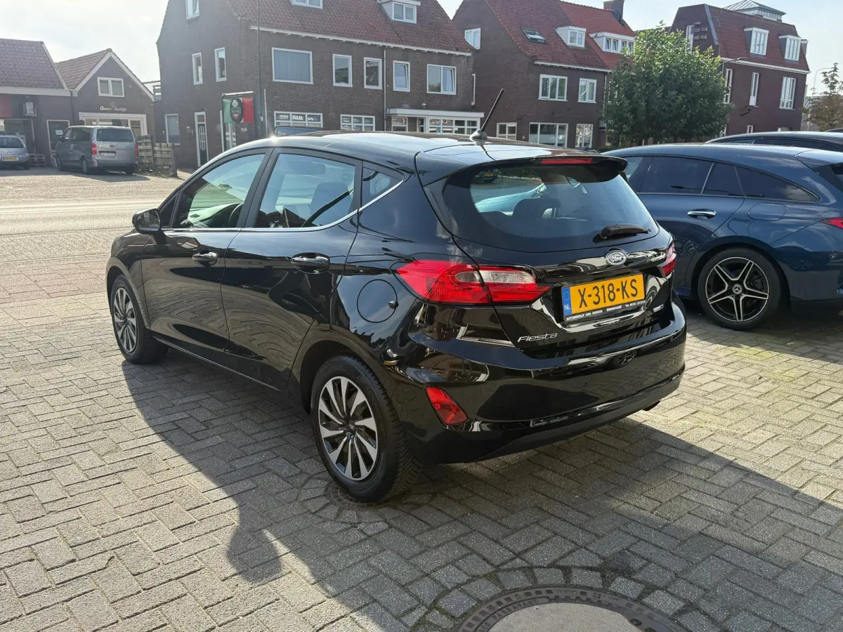 1.0 EcoBoost Hybrid Titanium, Apple Carplay/Android,Stoelverwarming,Stuurverwarming,Navigatie