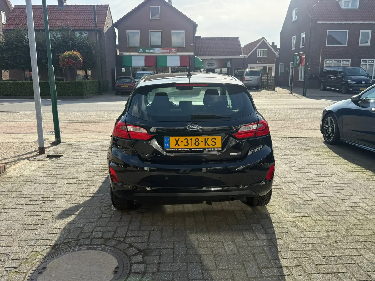 1.0 EcoBoost Hybrid Titanium, Apple Carplay/Android,Stoelverwarming,Stuurverwarming,Navigatie